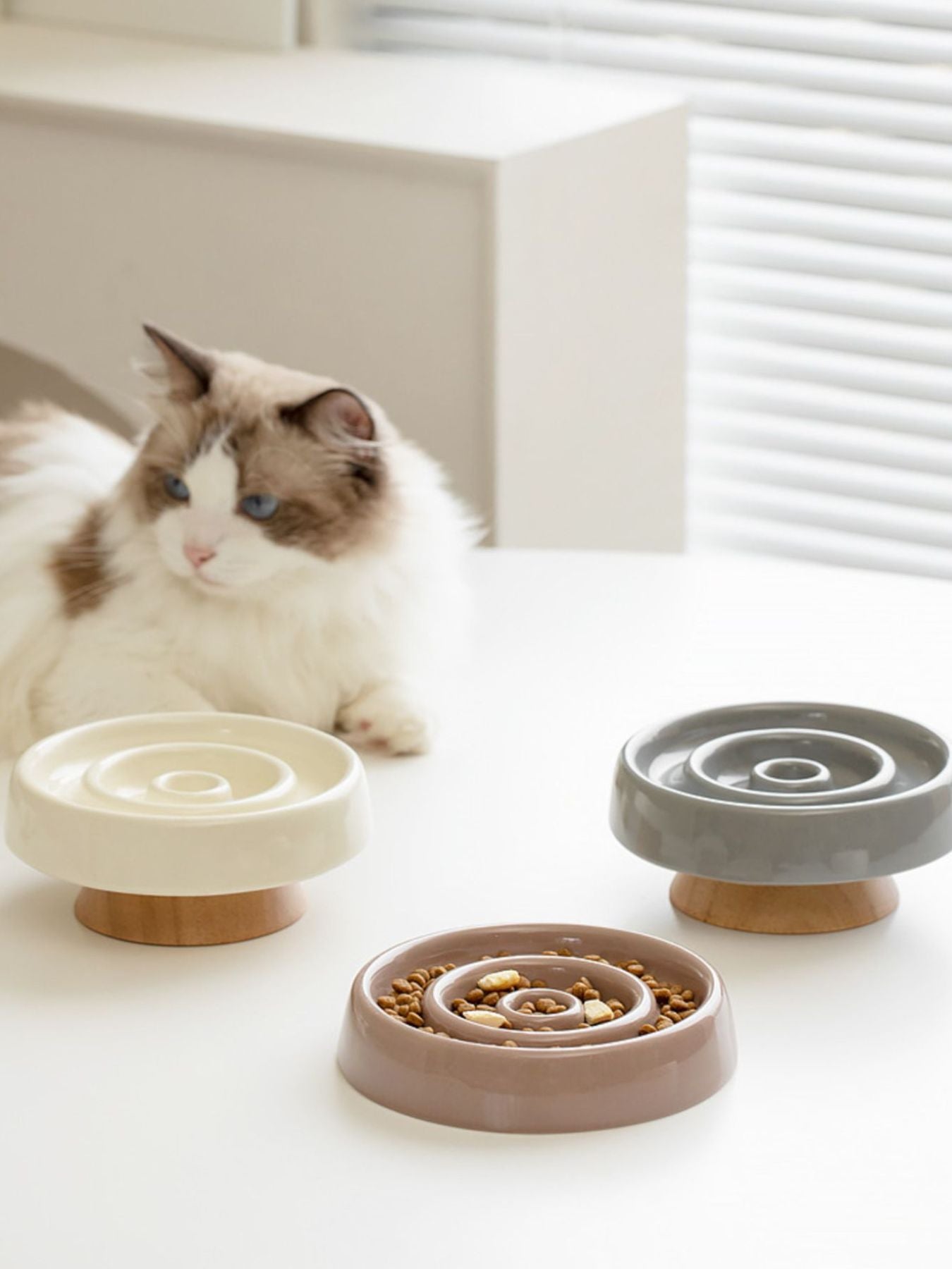 Interactive Slow Feeder Pet Bowl