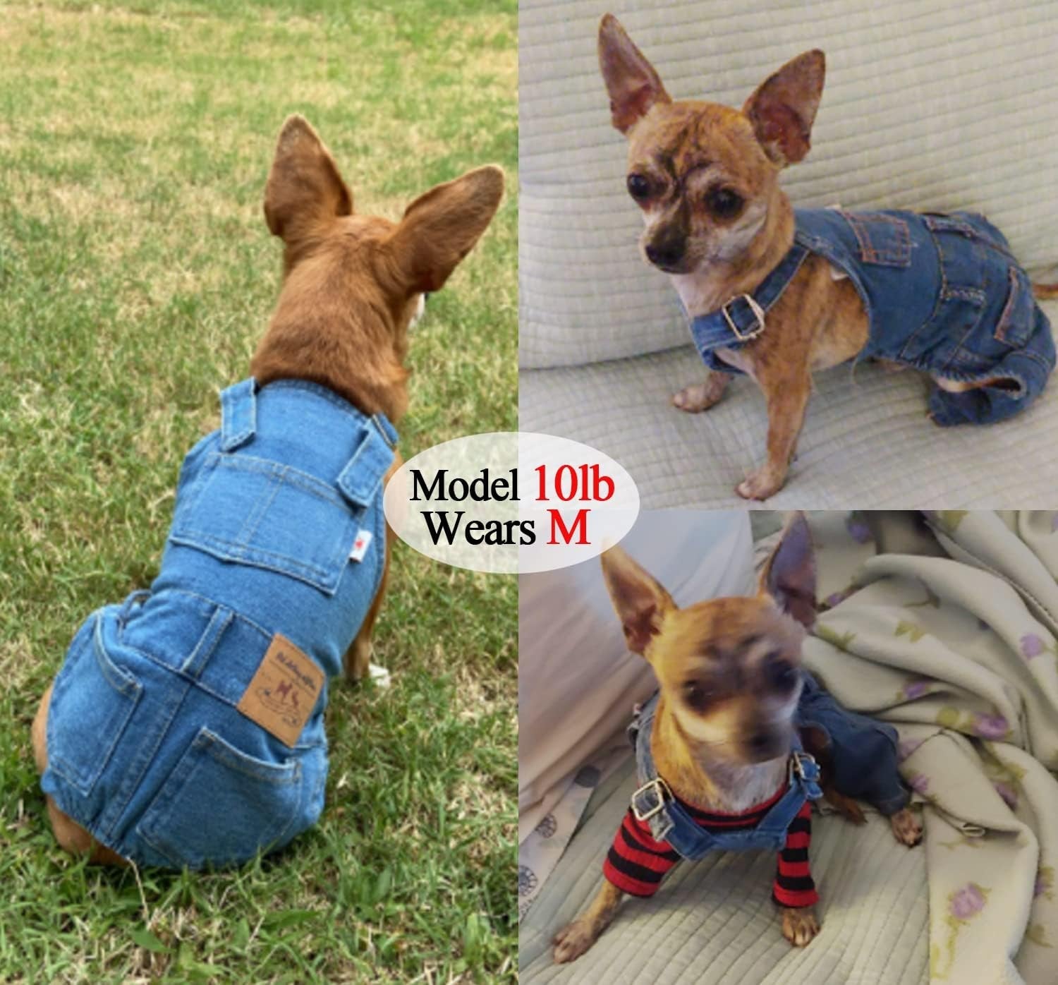 Dog Denim Overalls Jumpsuit Adjustable Pet Jeans for Small Dogs Cats