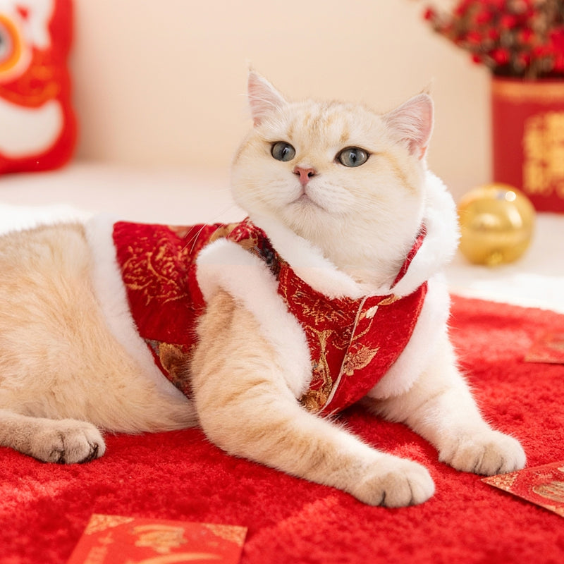 In Autumn And Winter, Cats Keep Warm. Chinese Style Of Wealth And Prosperity Bloom. New Year, Button-down Vests, Tang Suits, Little Dogs, Cotton-padded Clothes, And Pet Clothing