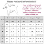 Pet Clothing, Warm Pockets For Autumn And Winter, Bear Home Wear, Base Layer, Cute Style, Two-legged Clothes For Cats, Dogs And Dogs
