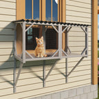 Cat Catio Window Perch for Large Indoor Cats