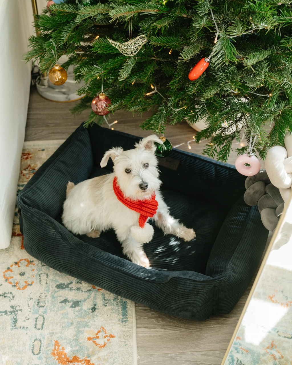 Chester & Lee | Fancy Corduroy Sleeper Dog Bed Graphite