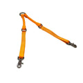 CRAZYcoupl'r - 2 Dogs on 1 Leash