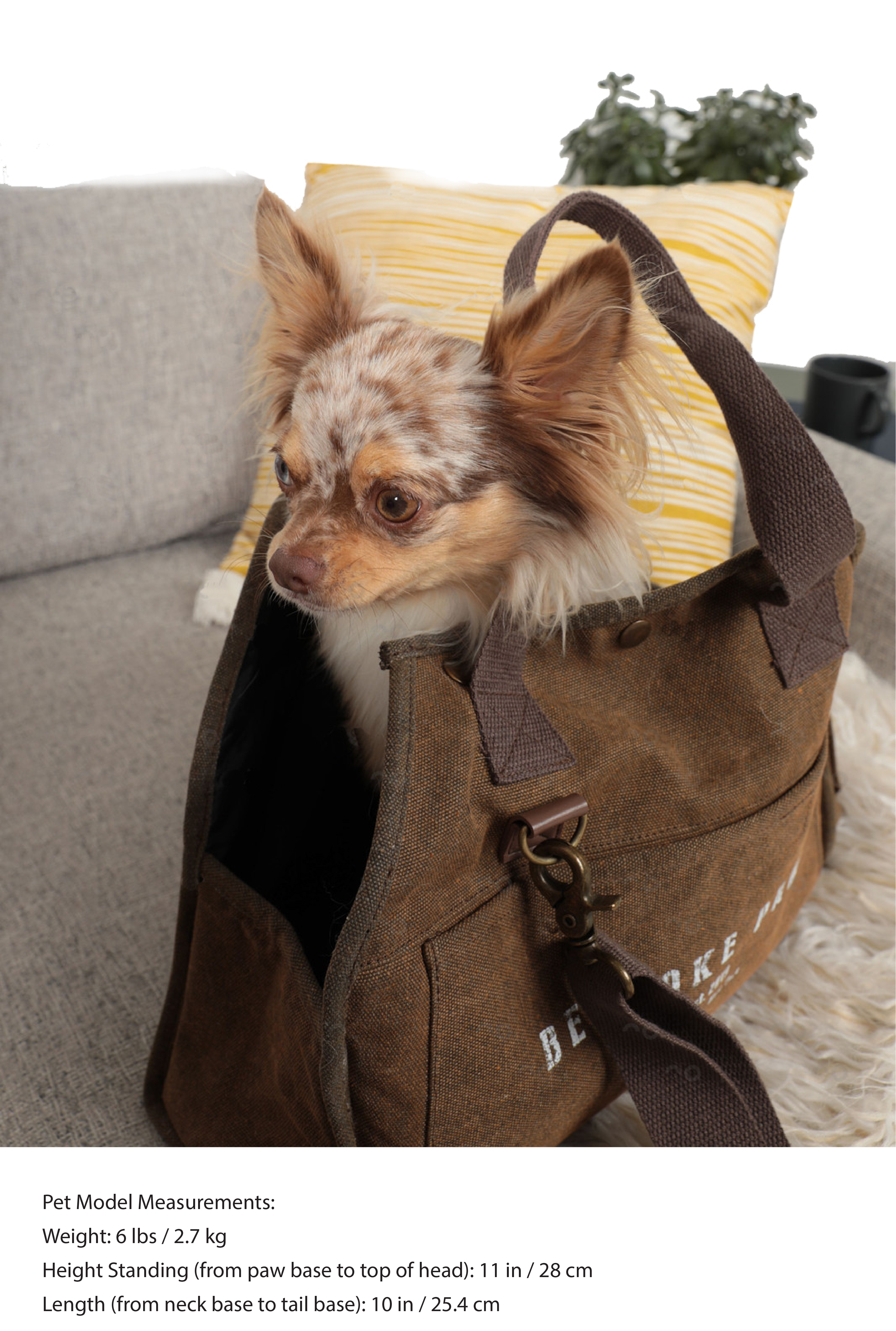 The Daily Carrier—Packable Luxury for Life on the Go