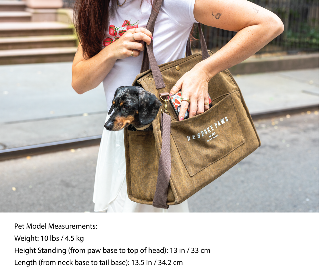 The Daily Carrier—Packable Luxury for Life on the Go