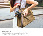 The Daily Carrier—Packable Luxury for Life on the Go