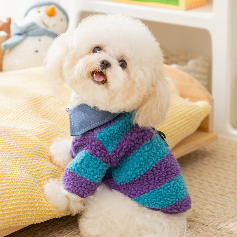 Leash Hole And Collar Winter Thick Warm Cozy Sweater For Small Medium Breeds, For Teddy Dachshunds Yorkies Cats