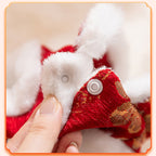 In Autumn And Winter, Cats Keep Warm. Chinese Style Of Wealth And Prosperity Bloom. New Year, Button-down Vests, Tang Suits, Little Dogs, Cotton-padded Clothes, And Pet Clothing