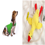 Anxiety Jacket Vest Summer Medical Treatment To Calm Down Cat Clothes Dog Comfort Clothes