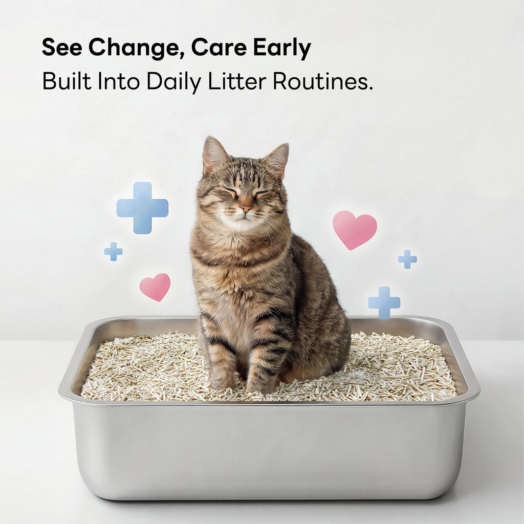 Purrify Health Monitoring Cat Litter Color Changing Clumping Low Dust