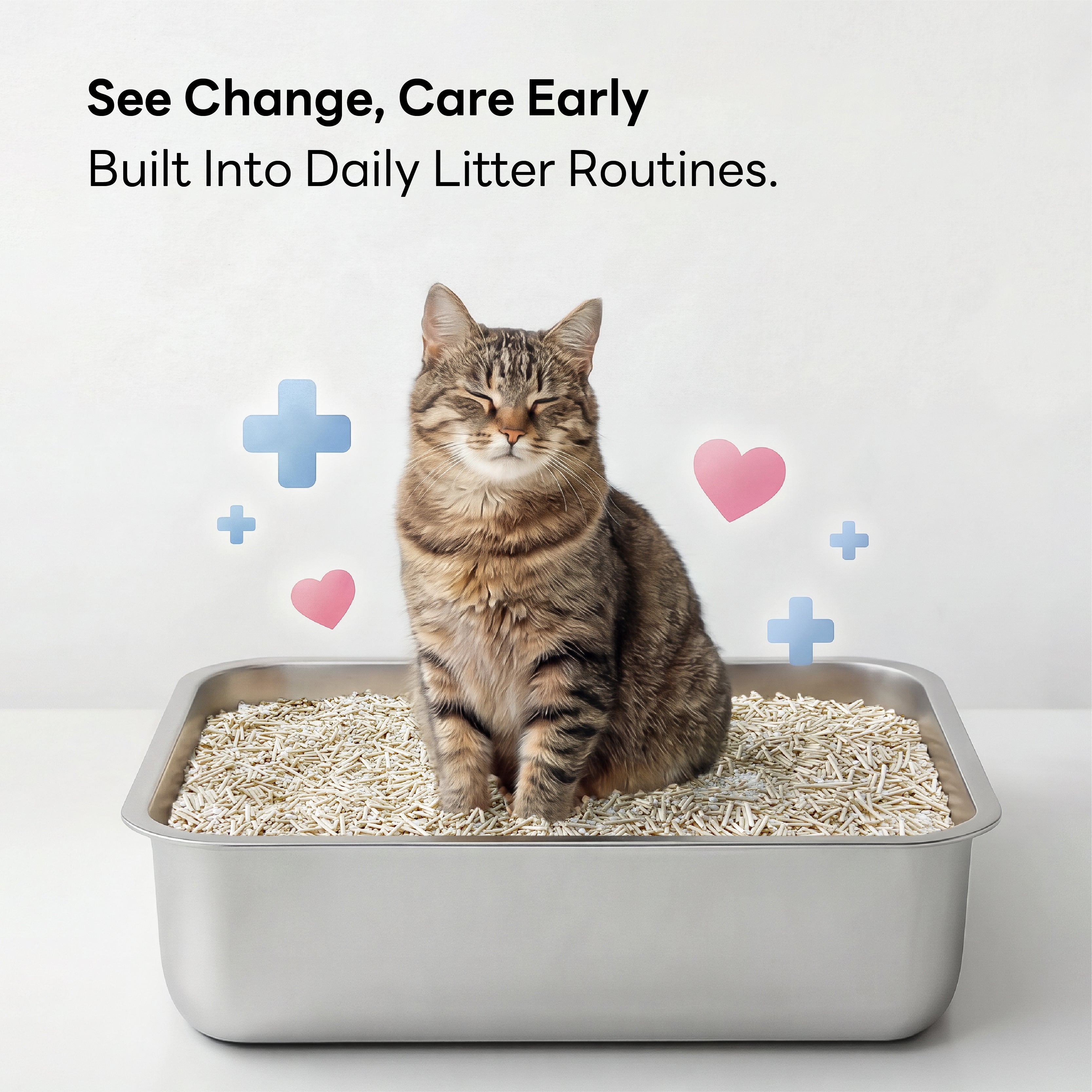 Purrify Health Monitoring Cat Litter Color Changing Clumping Low Dust