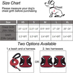 Reflective Harness & Dog Leash