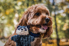 Woodland HuggleFlatties™ Assorted Durable Plush Dog Toys (3pk)