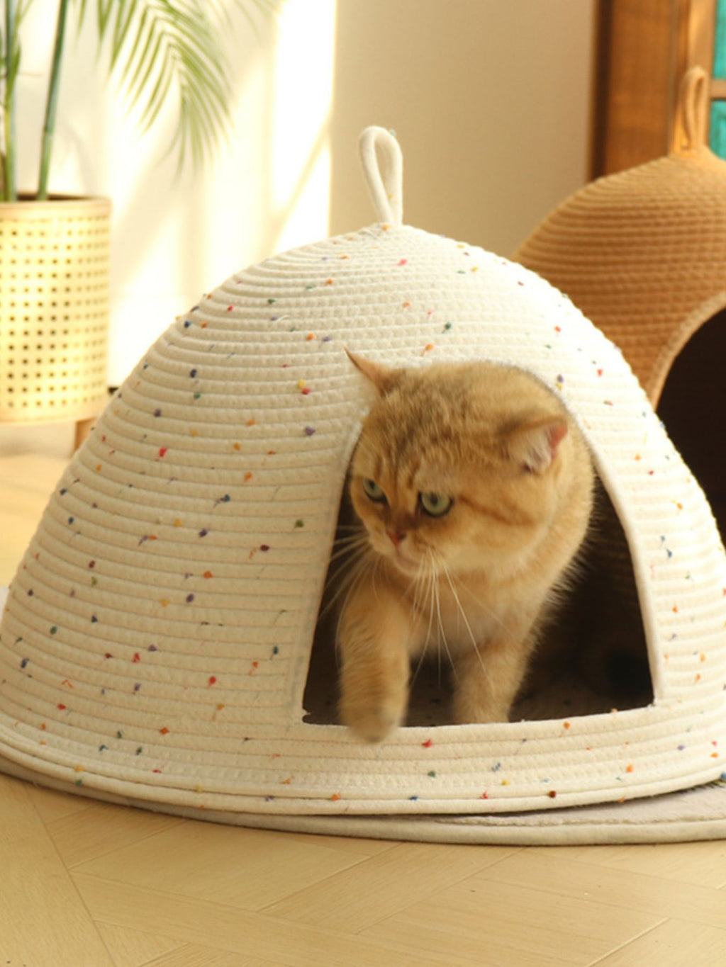 Cozy Rope Woven Cat Cave Bed with Handle