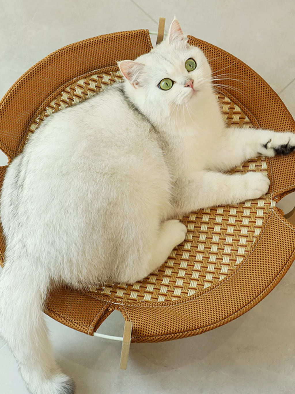 Round Woven Elevated Pet Bed