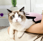 Double-Sided Pet Grooming Glove for Dogs & Cats