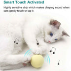 3-Pack: Realistic Chirping Balls Cat Toys