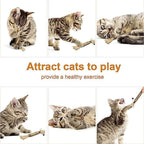 3-Pack: Silvervine Sticks Cat Toys