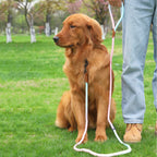 Pet Dog Cat Walking Multi-purpose Reflective Hand Holding Rope