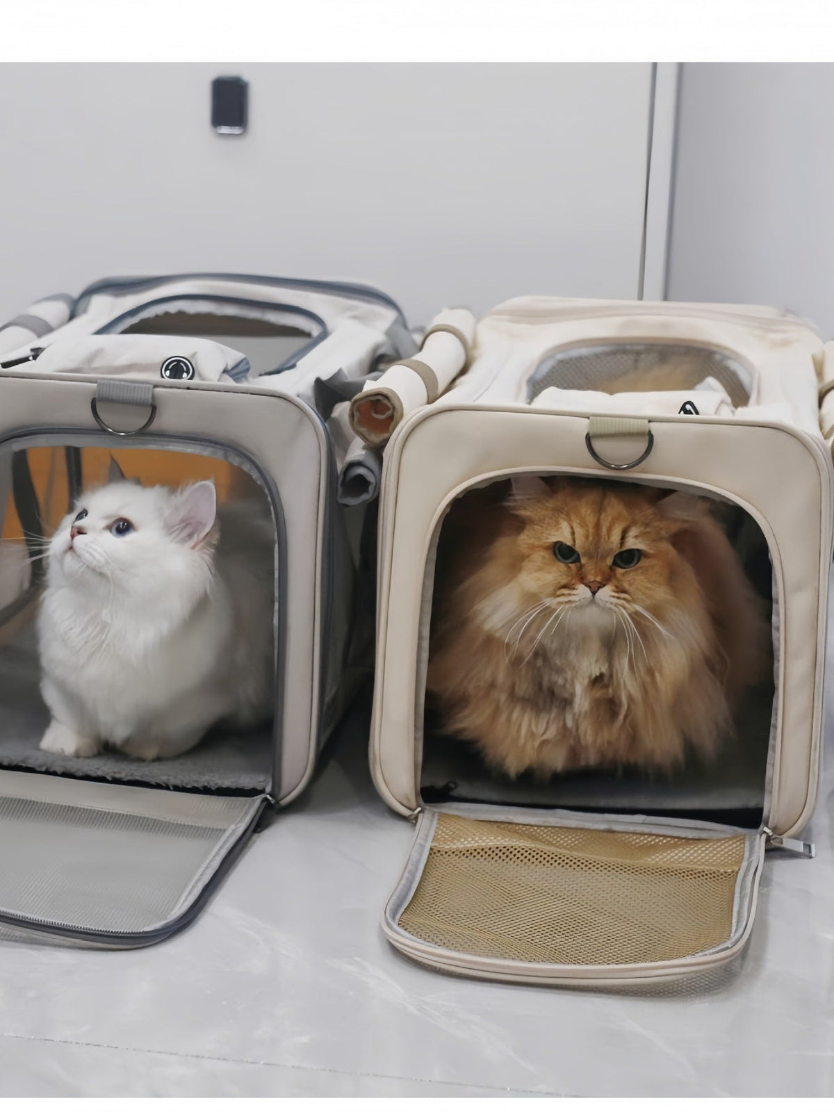 Comfortable Breathable Pet Carrier Bag
