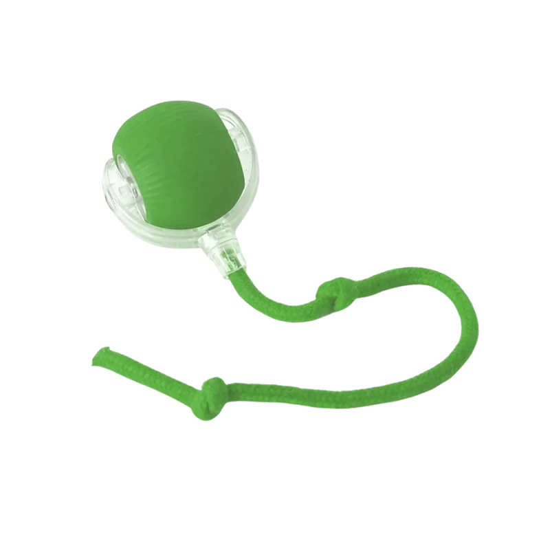 Smart Interactive Cat Ball for Active Play