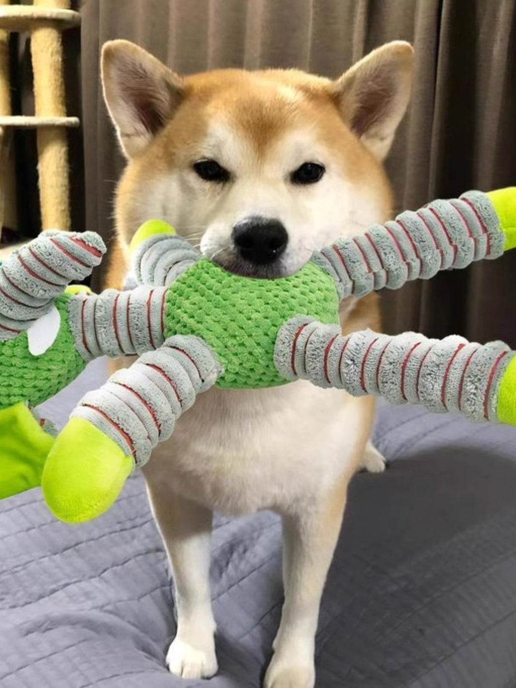 Soft Plush Animal Pet Toys