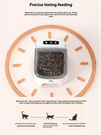 Automatic Pet Feeder with Elevated Bowl