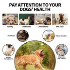 Extreme Tough Dog Chew Toys for Aggressive Chewers