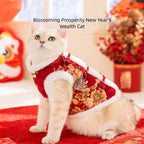 In Autumn And Winter, Cats Keep Warm. Chinese Style Of Wealth And Prosperity Bloom. New Year, Button-down Vests, Tang Suits, Little Dogs, Cotton-padded Clothes, And Pet Clothing