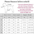 Winter Warm Cat And Dog Clothing Rainbow Striped Knitted Sweater, Cute To Wear For The Party