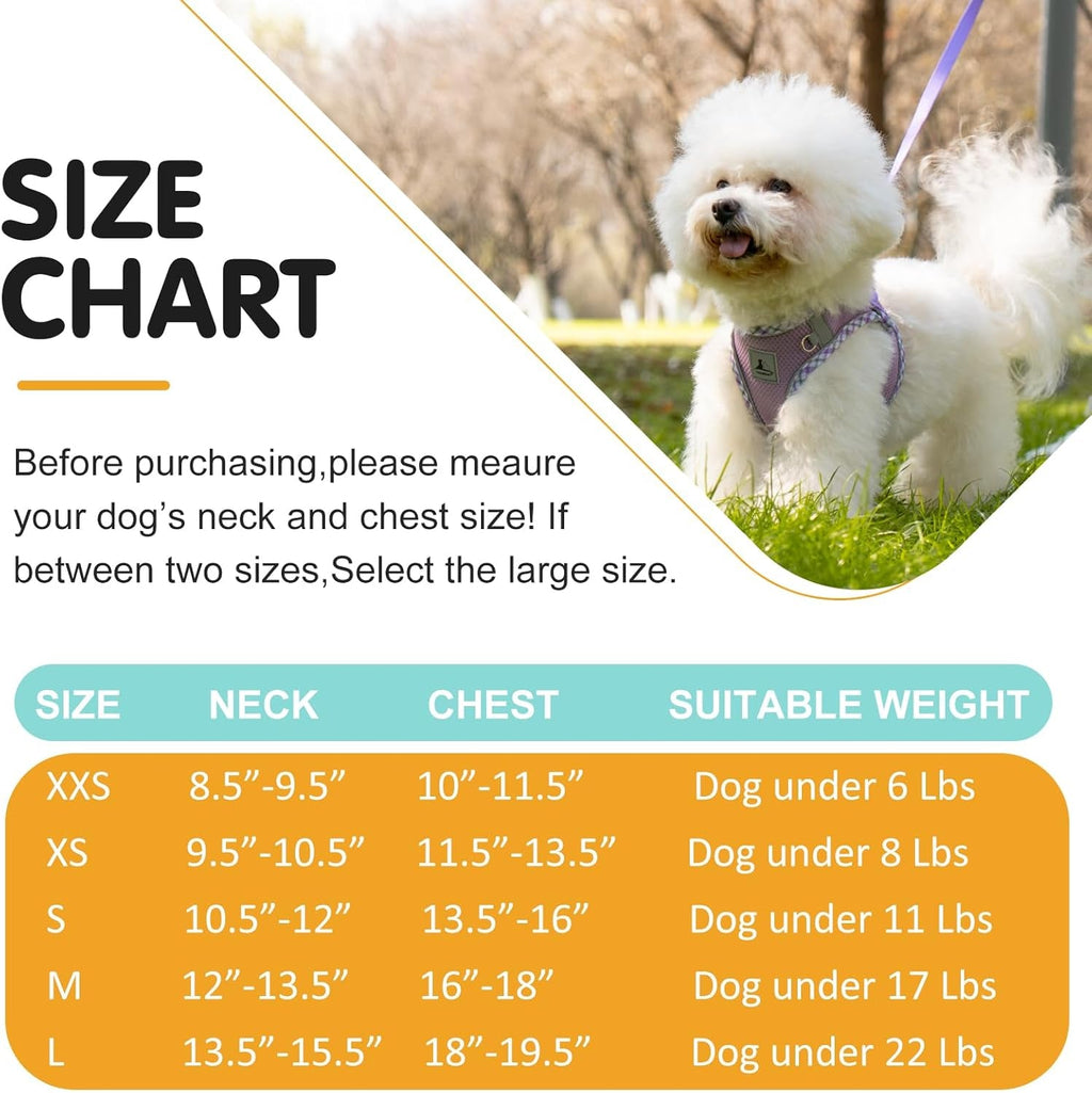 Dog Harness and Leash Set No Pull Reflective Step In Adjustable Small Dogs Cats