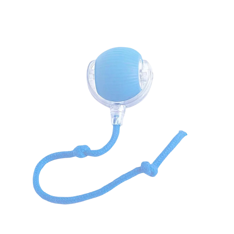 Smart Interactive Cat Ball for Active Play