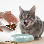 Cat Slow Feeder Bowl Slow Feed Cat Dish Fishbone Cat Slow Feeder Small Interactive Dog Feeder Dish Anti Gulping Pet Bowl For Cat And Dog Slow Eating To Against Bloat