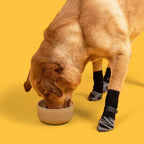 Dog & Cat Waterproof Sock Shoes 4-Pack — 2 Patterns, Sizes XS–XL