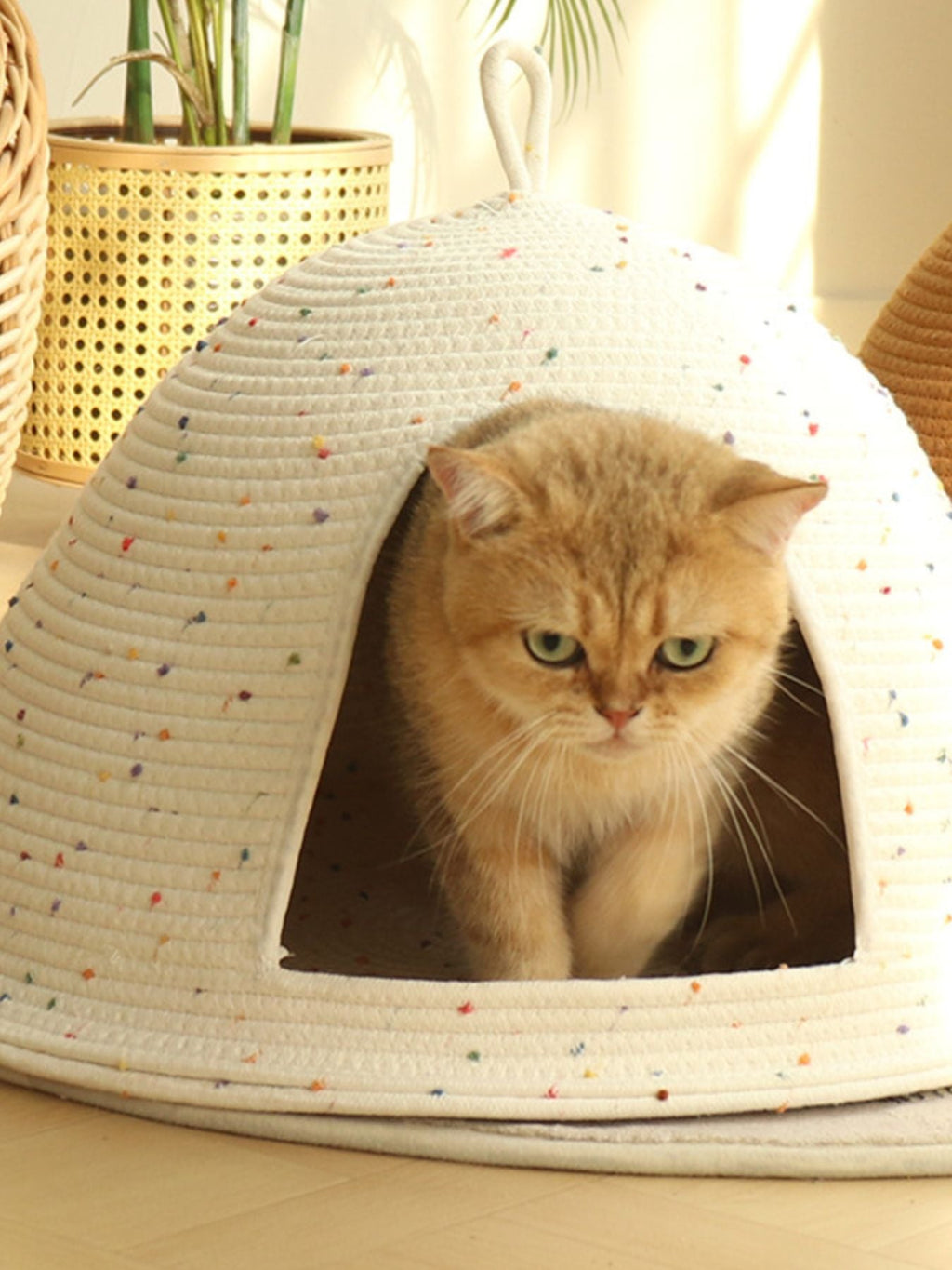 Cozy Rope Woven Cat Cave Bed with Handle