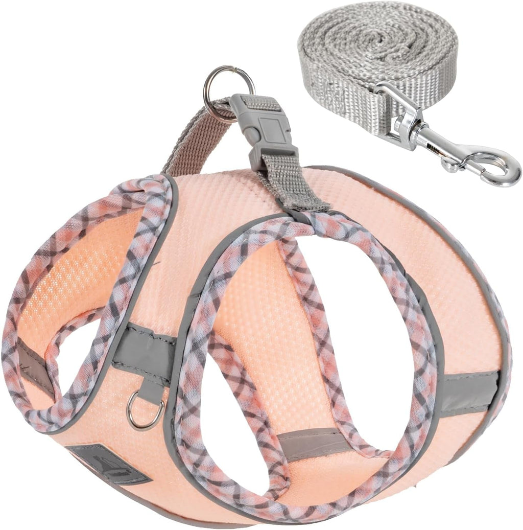 Dog Harness and Leash Set No Pull Reflective Step In Adjustable Small Dogs Cats