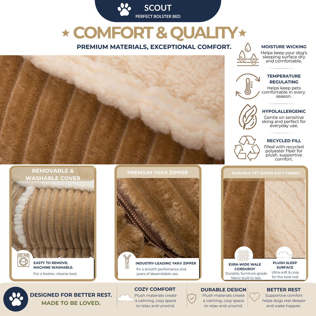 Scout Perfect Bolster Dog Bed