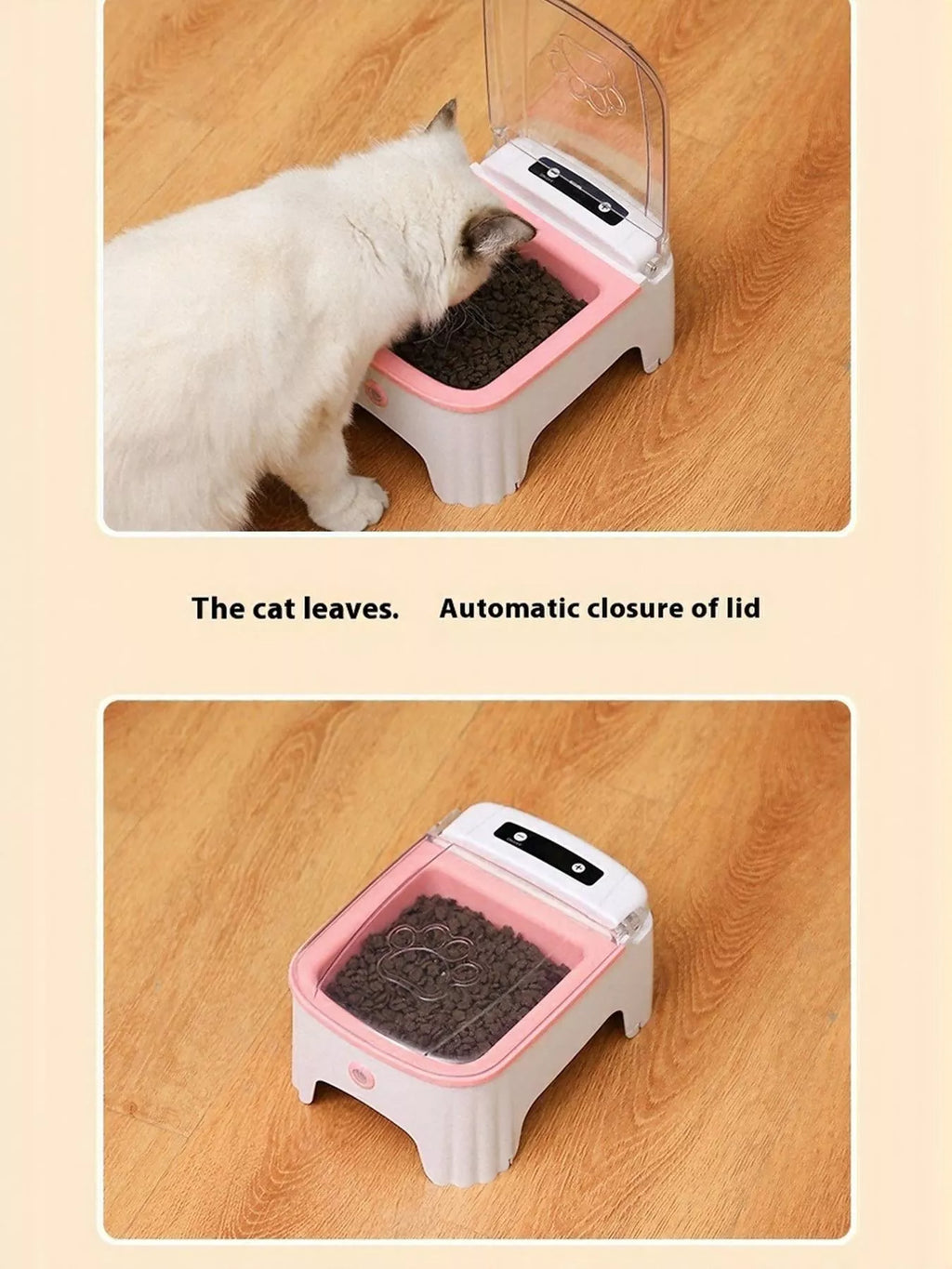 Automatic Pet Feeder with Elevated Bowl