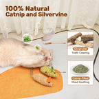 Potaroma Cat Toys  Squeak Mice Interactive Catnip Silvervine Animals Toys For Indoor Kittens  Cat Nip Chirping Toy Cat Chew Exercise Toy For All Breeds And Species
