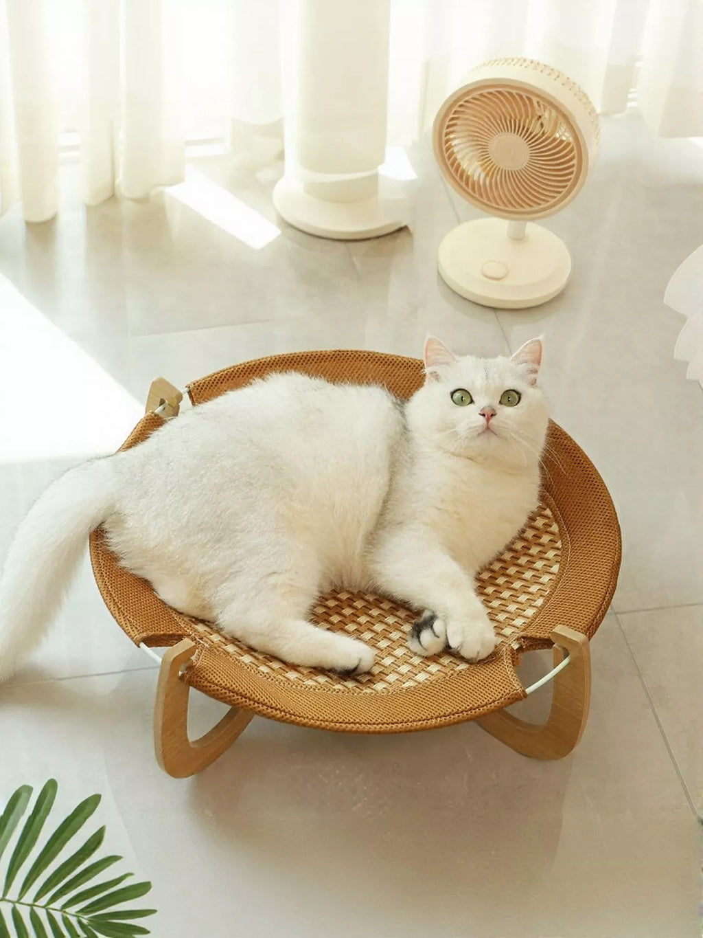 Round Woven Elevated Pet Bed