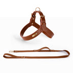 Summer Pet Dog And Cat Vest Type Chest Harness Leash