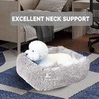 Cat Bed for Indoor Cats and small dogs