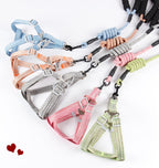 Nylon Pitted Fashion Pet Leash Dog Chest Strap Round Rope Chain