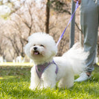 Dog Harness and Leash Set No Pull Reflective Step In Adjustable Small Dogs Cats