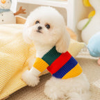 Winter Warm Cat And Dog Clothing Rainbow Striped Knitted Sweater, Cute To Wear For The Party