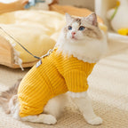 Simple Fabric Label Four-legged Fleece For Autumn And Winter Cats, Warm And Thick Teddy Dog Pet Clothes For Hairless Cats