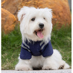 Autumn And Winter Dog, Small And Medium-sized Dog, Checkered Adventure Outdoor Windbreaker, Teddy Cat, Warm Cotton Coat, Pet Clothing