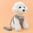 Dog chest strap cat leash