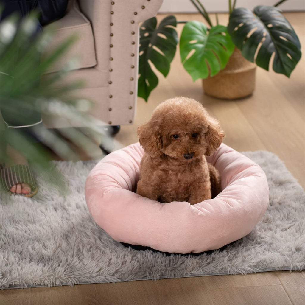 Kasentex Soft Dog Bed - Cozy Pet Bed Cushion