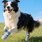 Breathable Mesh Dog Shoes | Non-Slip Summer Pet Boots